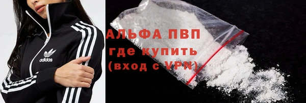 ПСИЛОЦИБИНОВЫЕ ГРИБЫ Иннополис