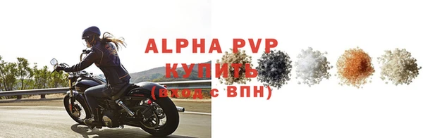 ПСИЛОЦИБИНОВЫЕ ГРИБЫ Иннополис